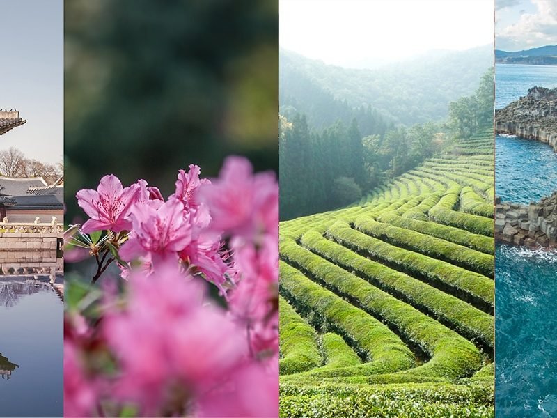 모국방문 전국일주 9박 10일